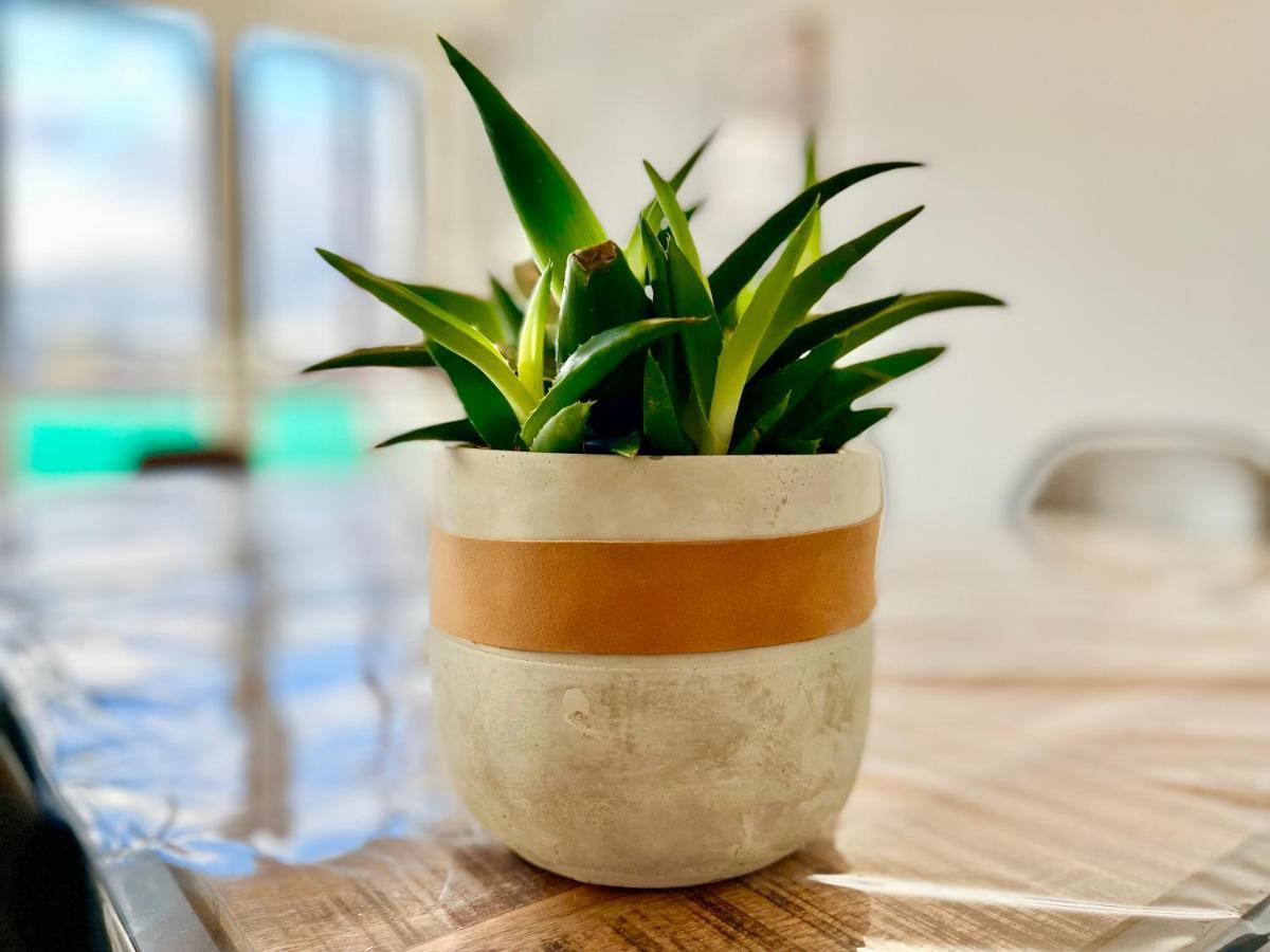 Апартаменти Colmar - La Cigogne - Balcon - Vue Degagee - Netflix - Wifi Fibre - Parking Gratuit - Quartier Populaire Екстер'єр фото